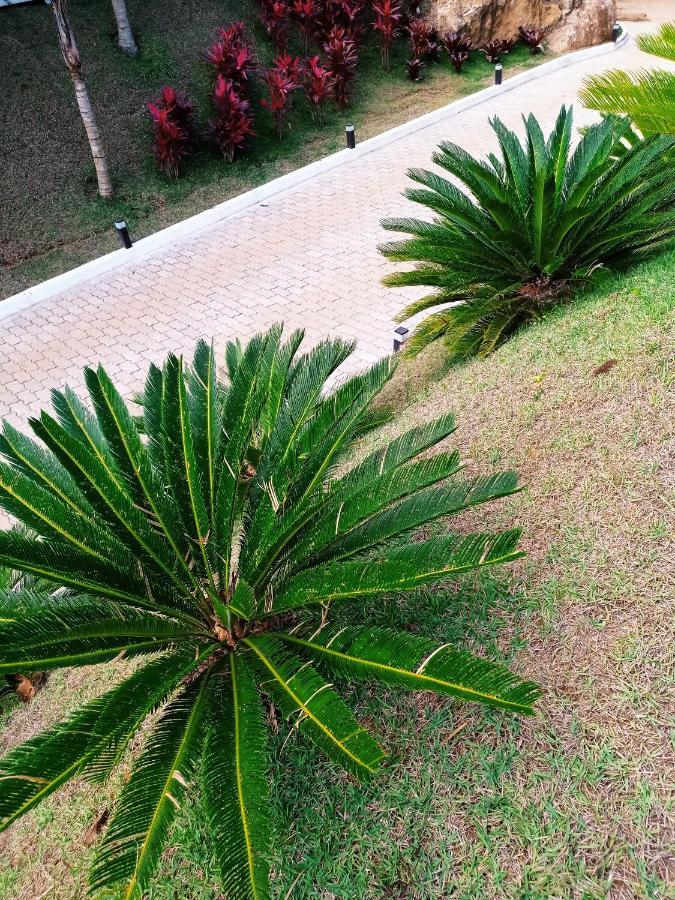 Recanto da Ruína Pedra Menina Exterior foto